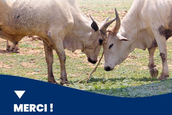 Communication digitale en 2024 pour l'USAID