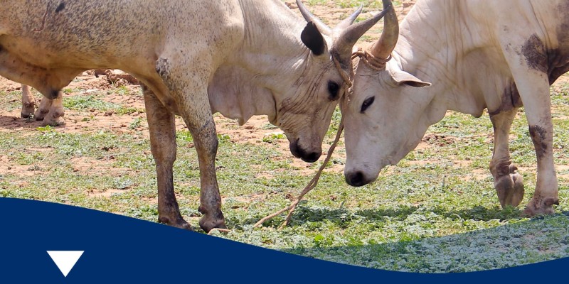 Communication digitale en 2024 pour l'USAID